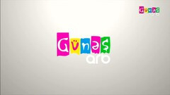 ARB Gunes canli